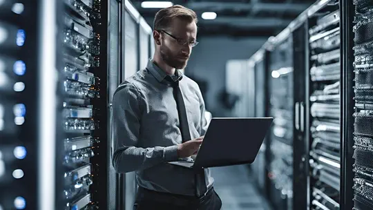 IT Project Manager